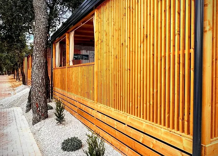 Mobile Tasha Πάρκο διακοπών