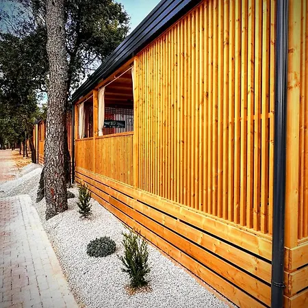 Mobile Tasha Tatil parkı