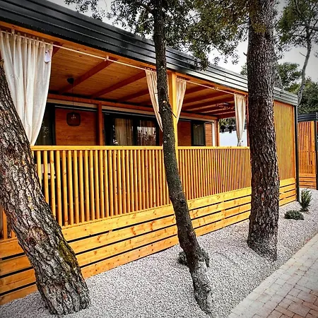 Mobile Tasha Weißenburg