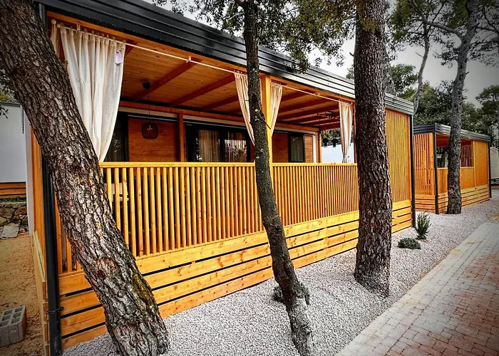 Mobile Tasha Biograd Na Moru